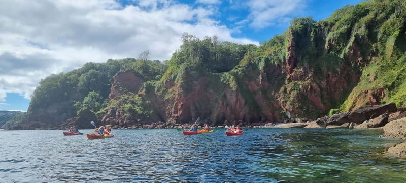 Torquay: Guided Wildlife, Bushcraft, Sea Cave Kayak Safari - Who this tour suits (and who should skip it)