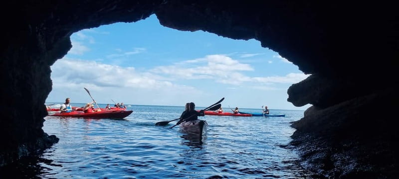 Torquay: Guided Wildlife, Bushcraft, Sea Cave Kayak Safari - The cave and cove moments: where wildlife often shows up