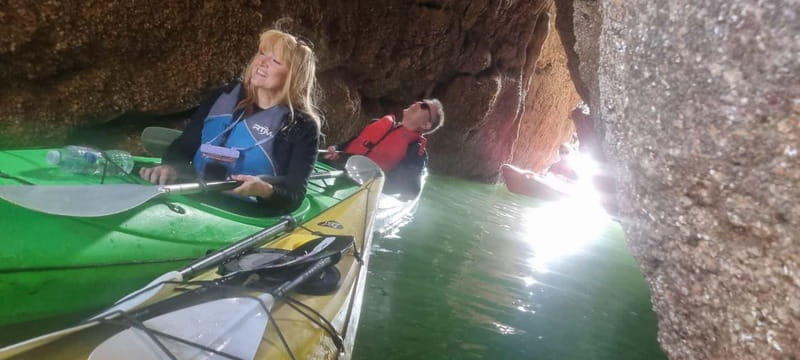 Torquay: Guided Wildlife, Bushcraft, Sea Cave Kayak Safari - Beach fire, marshmallows, and foraged marine herb tasting