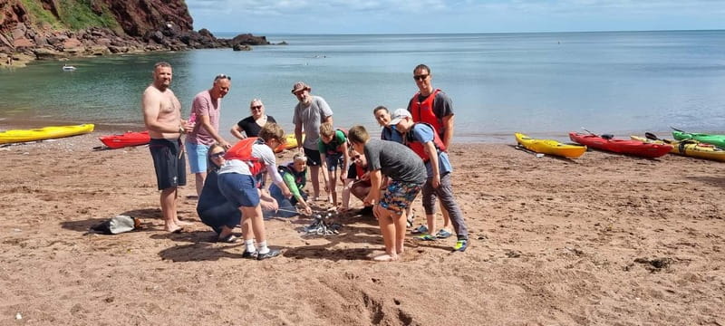 Torquay: Guided Wildlife, Bushcraft, Sea Cave Kayak Safari - Watching seals from a kayak: how to increase your odds