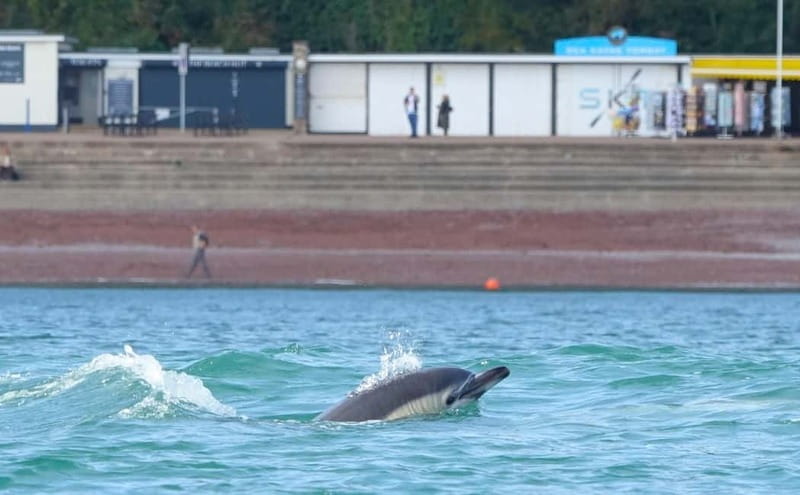 Torquay: Guided Wildlife, Bushcraft, Sea Cave Kayak Safari - Gear and clothing: what to pack so you stay comfortable