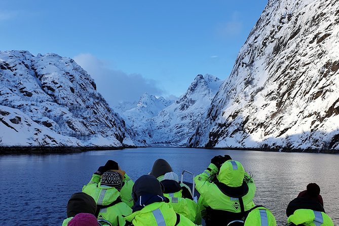 Trollfjord and Sea Eagle Safari Tour from Svolvaer - Quick hits before you go