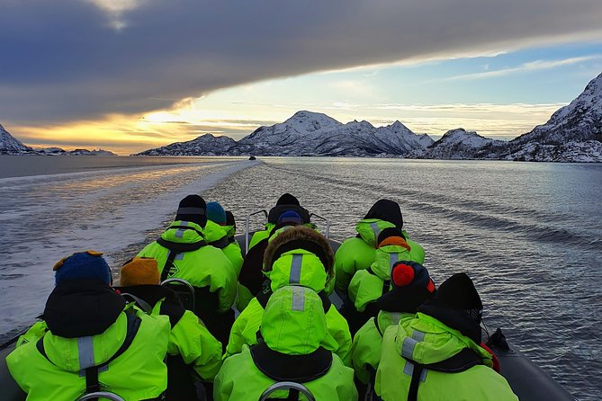 Trollfjord and Sea Eagle Safari Tour from Svolvaer - Trollfjord and sea eagles: why this 2-hour ride makes sense