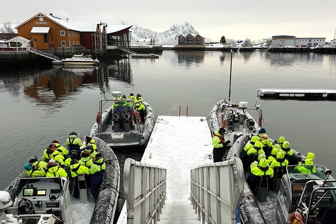 Trollfjord and Sea Eagle Safari Tour from Svolvaer - How the timing and route feel in real life
