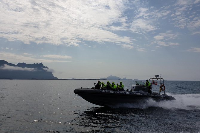 Trollfjord and Sea Eagle Safari Tour from Svolvaer - The RIB boat setup: warm, dry, and safe (even when it bumps)