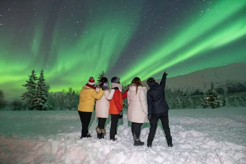 Tromsø: Aurora Safari Chase by big bus with Camp meal - Tromsø Aurora Safari Chase: What You’re Really Buying