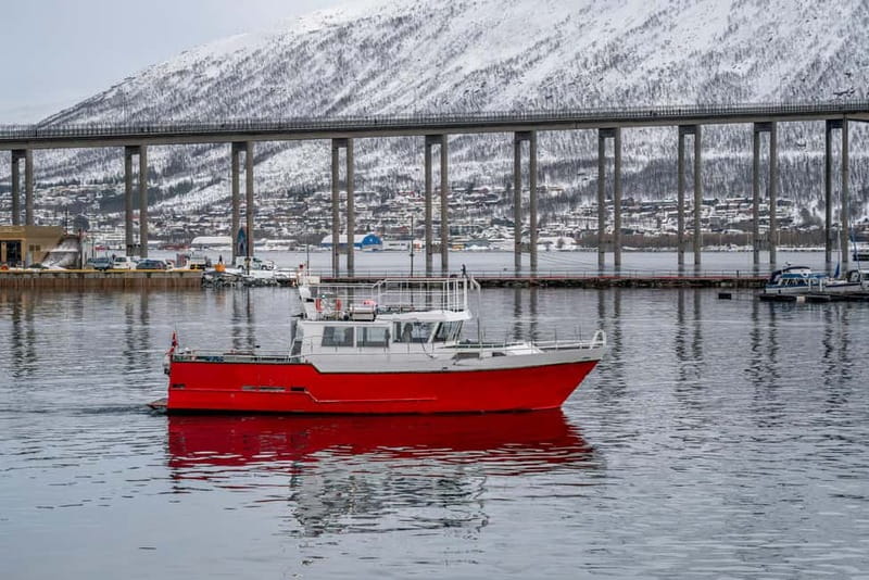 Tromsø: Fishing Sea Safari - Small Group Fishing with Fishfinder Sonar and 6 Rods