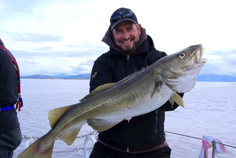 Tromsø: Fishing Sea Safari - Can You Catch Fish? The Supervised Fishing Plan