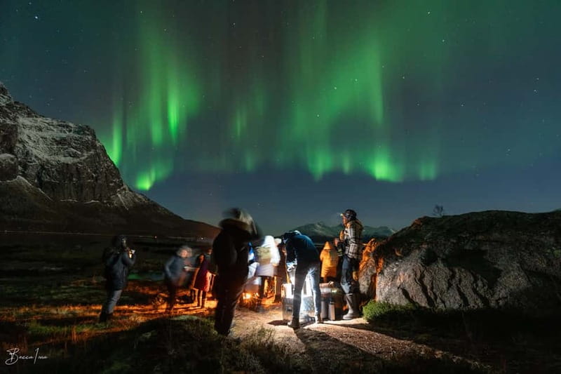 Tromsø: Northern Lights Safari - Northern Lights in Tromsø: Why a Guided Hunt Beats Guessing