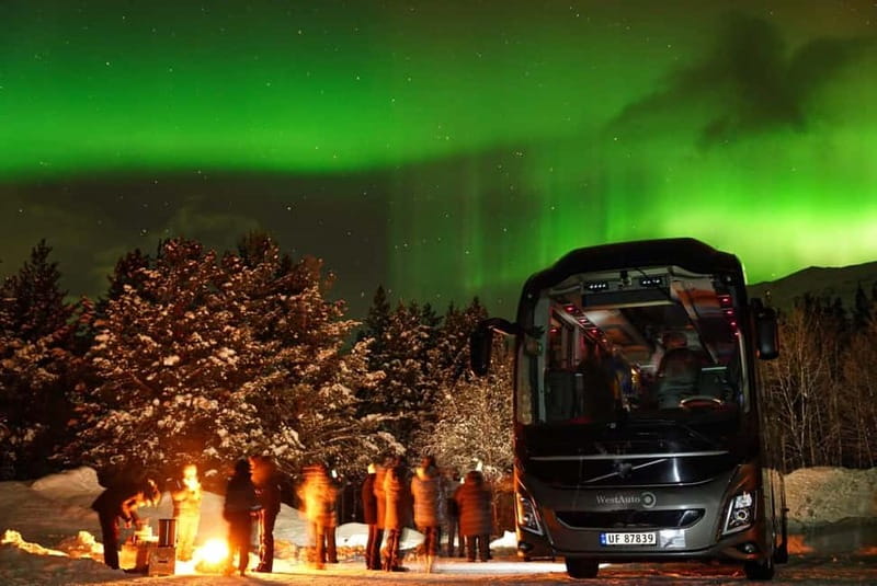 Tromsø: Northern Lights Safari - Your First Stop Area: Tromsø, Then the Camp Where Everything Clicks
