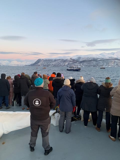 Tromsø Whale Safari with MS Keiser Wilhelm - Should you book the Tromsø Whale Safari with MS Keiser Wilhelm?