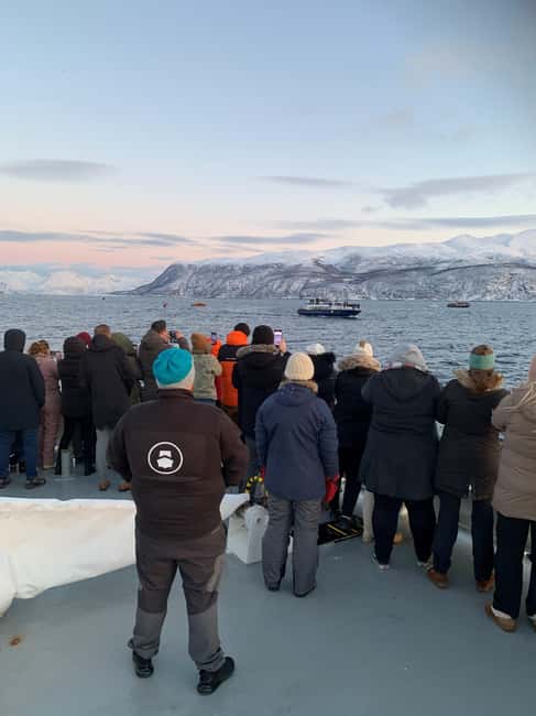 Tromsø Whale Safari with MS Keiser Wilhelm - MS Keiser Wilhelm: why this Tromsø safari feels different
