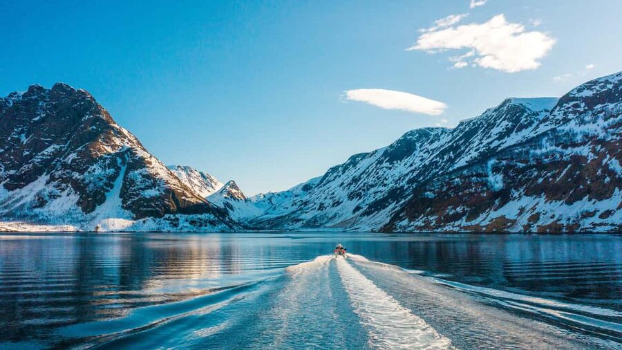 Tromsø Whale Safari with MS Keiser Wilhelm - Guides, whale talk, and the small details that matter