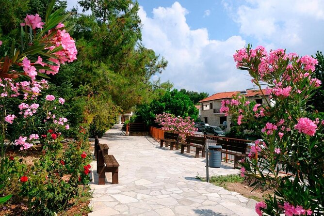 Troodos Jeep Safari from Protaras,Ayia napa & Larnaca - Key Points Before You Go