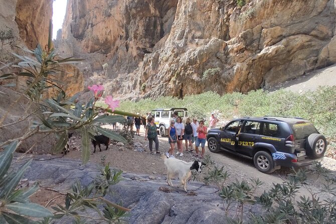 Trypiti beach and gorge Jeep Safari - Trypiti beach: the swim window and why it matters