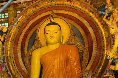 Tuk Tuk Private Safari Tour Exploring Sri Lanka's Capital Colombo - Price and value: why $33 can make sense for a 4.5-hour private day