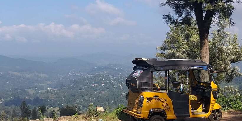 Tuk-Tuk Safari Liptons seat,Tea Fields Hike,TeaFactory Tour - Dambatenne Tea Factory: how black tea is made (and why it matters)