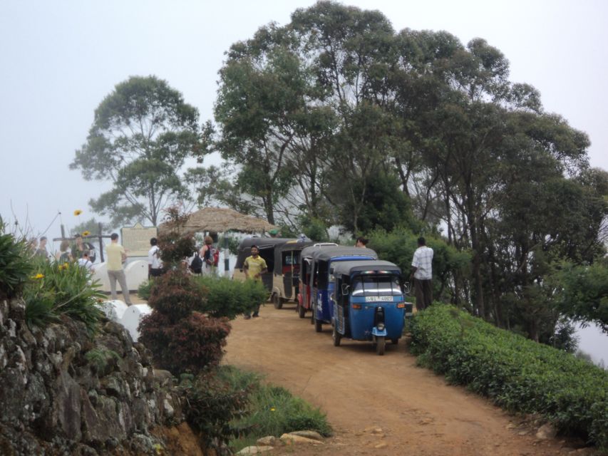 Tuk-Tuk Safari Liptons seat,Tea Fields Hike,TeaFactory Tour - Price and value: why this day trip costs $60 and what you get