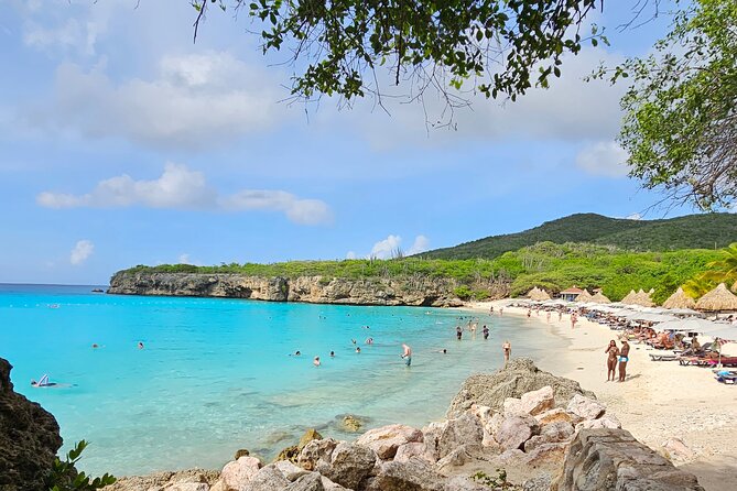 Turtle Swim at TurtleBay visit Flamingos & KnipBeach Safari Truck - Meeting point near Willemstad’s cruise terminal: get your timing right