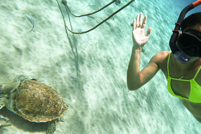 Turtle Swim at TurtleBay visit Flamingos & KnipBeach Safari Truck - The open-air safari truck experience: fun, but heat and road time are real