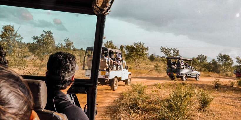 Udawalawa National Park: Private Safari - Udawalawa National Park: why this safari feels worth your time