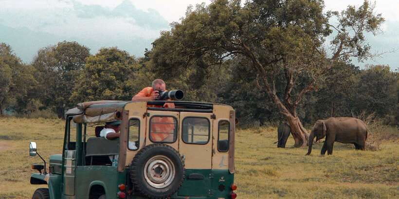 Udawalawa National Park: Private Safari - Birding in Udawalawa: where small sightings turn into the highlight