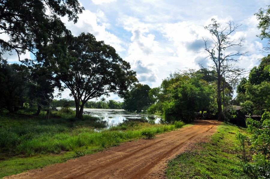 Udawalawa National Park: Private Safari - Logistics that matter: pickup, drop-off, and where the safari starts