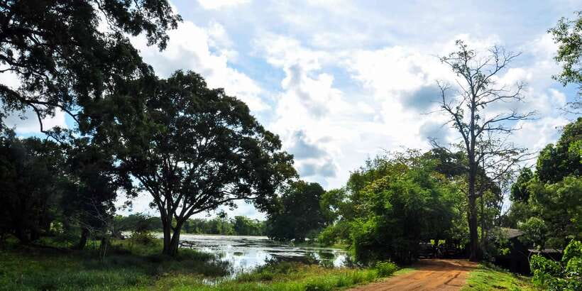 Udawalawa National Park: Private Safari - What to bring (and what to leave behind)