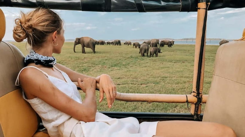 UDAWALAWA SAFARI TOUR from HAMBANTOTA PORT (Shore Excursion) - The guides can make or break the day