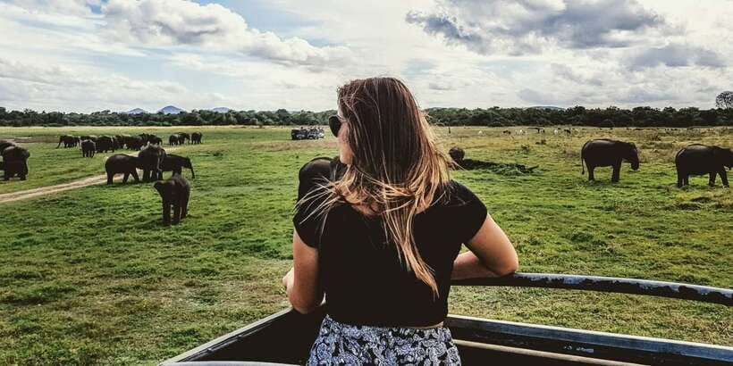 Udawalawe: National Park Safari & Elephant Transit Home Tour - Elephant Transit Home during feeding hours: what you should expect