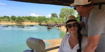 Udawalawe: National park safari & Elephant Transit Home Tour - The private 4x4 jeep setup: small group, better positioning