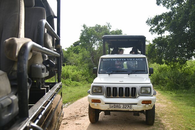Udawalawe National Park Wildlife Safari Tours - Weather and what can change