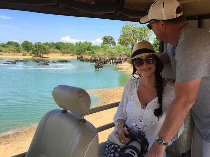 Udawalawe: Private Safari All Inclusive Day Trip with Lunch - Lunch That Keeps the Day Moving: Local Food, Included