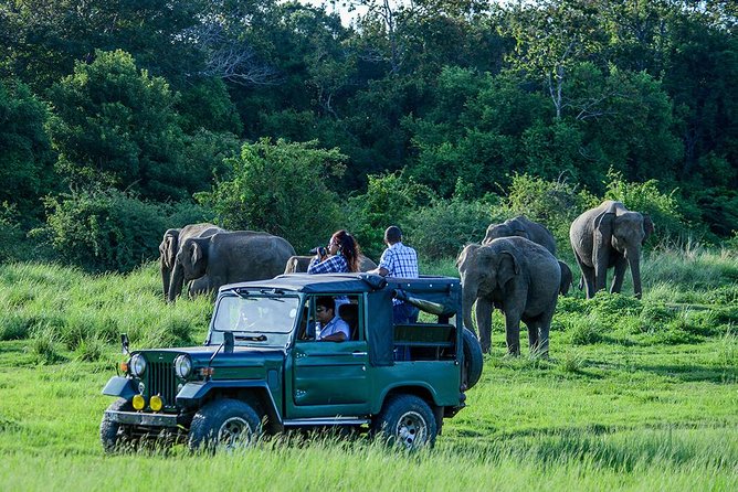 Udawalawe Private Safari frm Hambantota Port by BTM-All Inclusive - Key things I’d plan around before you go