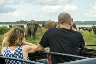 Udawalawe Private Safari frm Hambantota Port by BTM-All Inclusive - Getting to the park in comfort (and why it matters once you’re on safari)