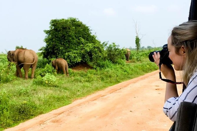 Udawalawe Private Safari frm Hambantota Port by BTM-All Inclusive - The bumpy road reality inside the park