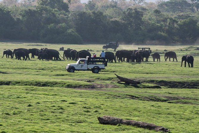 Udawalawe Private Safari frm Hambantota Port by BTM-All Inclusive - Timing that works for shore excursions