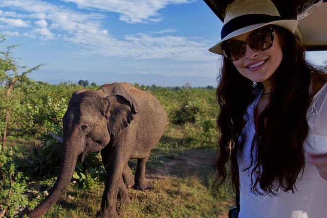 Udawalawe Safari DayTrip frm Bentota/Kalutara/Ahungalla/Hikkaduwa - Choosing Your Start Time: 4am, 7am, or 10.30am