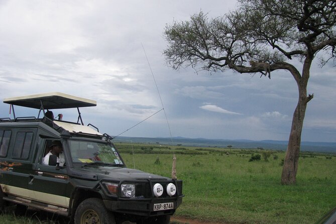 Ultimate 12 Days Private Safari Tour in Kenya and Tanzania - Lake Manyara: When Birds, Markets, and Tree-Climbing Lions Share a Day