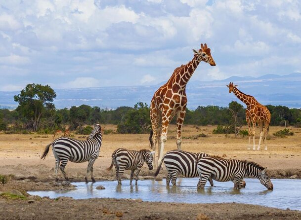 Ultimate 12 Days Private Safari Tour in Kenya and Tanzania - Rift Valley to Lake Naivasha: Falls, Boat Safari, and a Short Walk That Changes the Pace