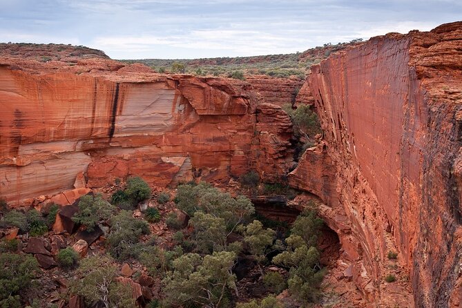 Uluru, Kata Tjuta and Kings Canyon Camping Safari from Ayers Rock - Why This Camping Safari Feels Different Than Day Tours