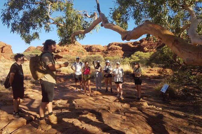 Uluru, Kata Tjuta and Kings Canyon Camping Safari from Ayers Rock - Day 3: Kings Canyon Rim Walk, Garden of Eden, and North and South Walls