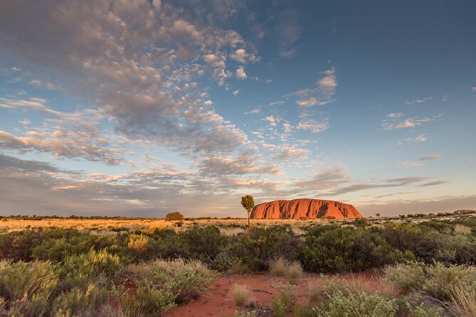 Uluru, Kata Tjuta and Kings Canyon Camping Safari from Ayers Rock - Price and Value: Is $713.66 per Person Worth It?
