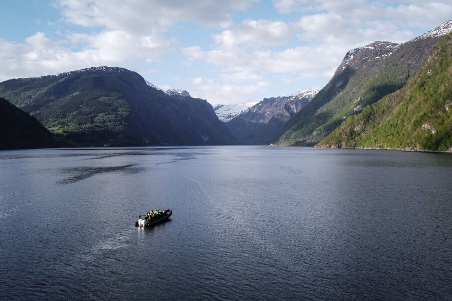 Ulvik: Hardangerfjord Ultimate RIB Tour - Speed Control and Photo Stops: How to Get Great Shots Without Stress
