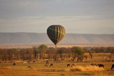 Unforgettable Tanzania Safari And Zanzibar Beach - Tarangire National Park: elephants, baobabs, and predator country