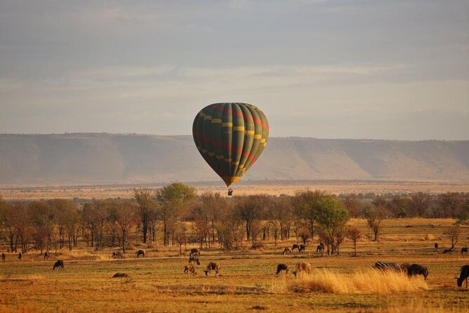 Unforgettable Tanzania Safari And Zanzibar Beach - Tarangire National Park: elephants, baobabs, and predator country
