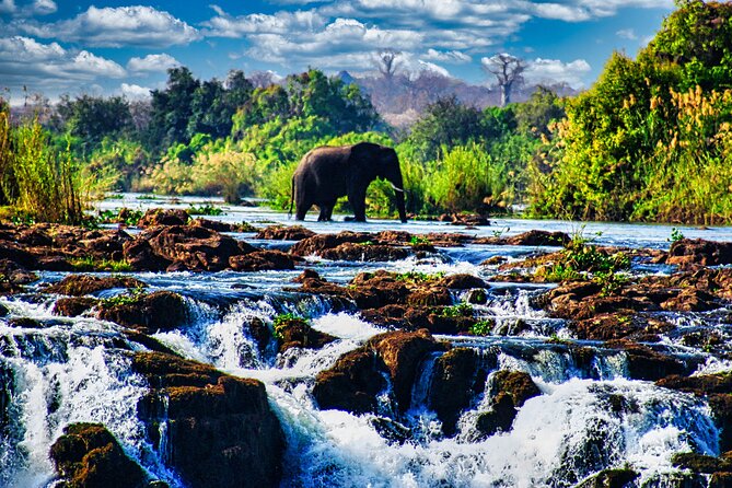 Unique Safari Game Drives in Zambezi National Park, 4 Options - Key highlights at a glance