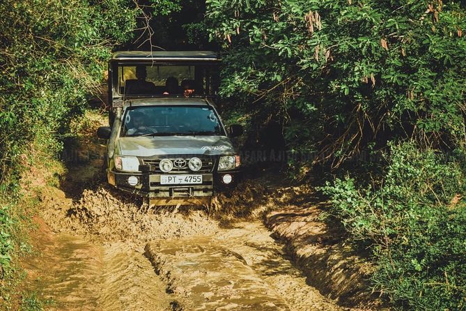 VALUE PACK! One Day Safari Tour to Yala and Udawalawa Parks - A Bentota Safari That Uses Your Time (Mostly)