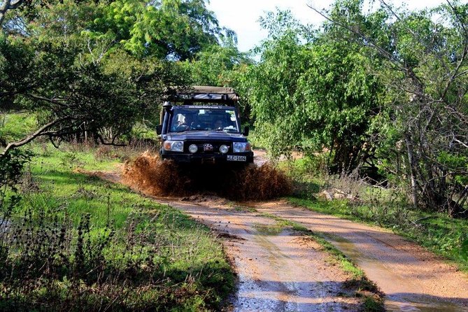 VALUE PACK! One Day Safari Tour to Yala and Udawalawa Parks - Elephant Transit Home (ETH): A Short Stop With Meaning
