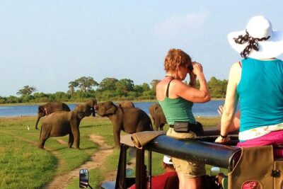 VALUE PACK! One Day Safari Tour to Yala and Udawalawa Parks - Yala National Park: The 4x4 Game Drive That Makes or Breaks the Day